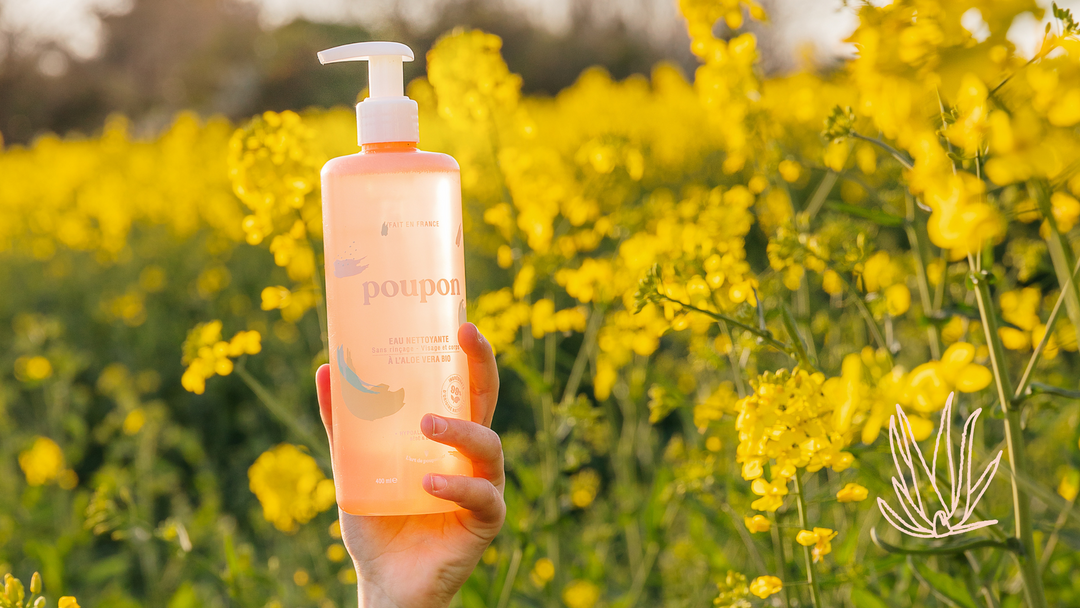 Zoom sur l’Aloe Vera Bio